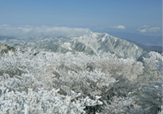 御在所岳の樹氷